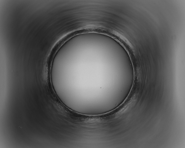 X0000096711021200802191504