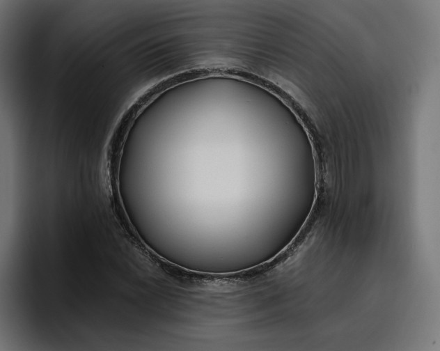 X0000096711022200802191504