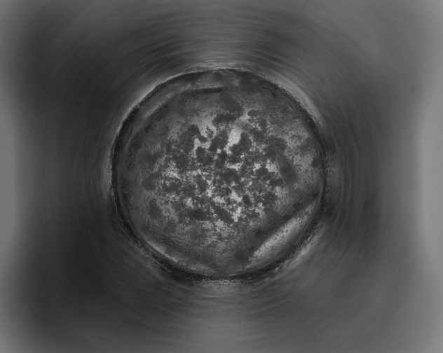 X0000096711023200802191504