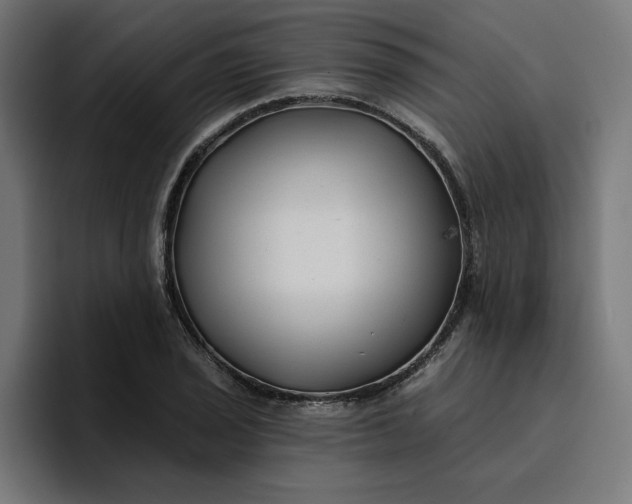 X0000096711029200802191504