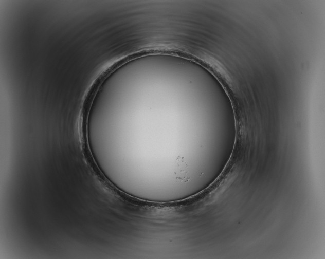 X0000096711030200802191504