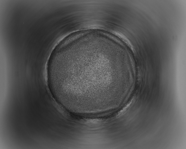 X0000096711031200802191504