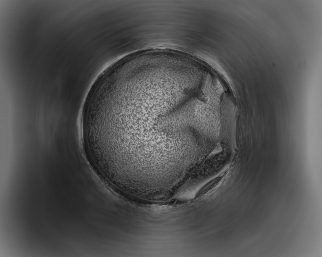 X0000096711032200802191504