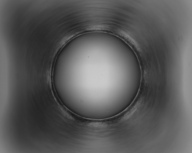 X0000096711033200802191504