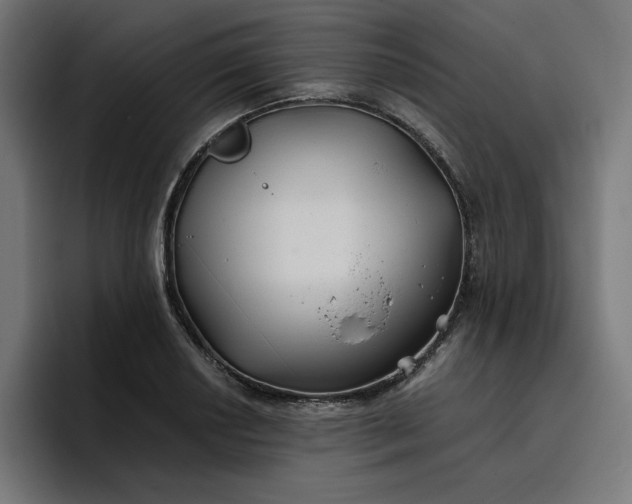 X0000096711034200802191504