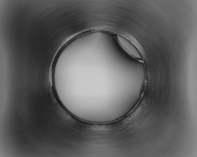 X0000096711036200802191504