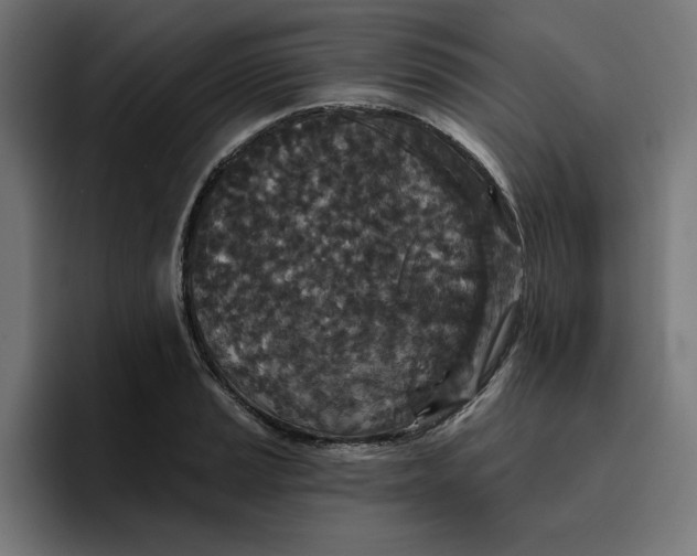 X0000096711037200802191504