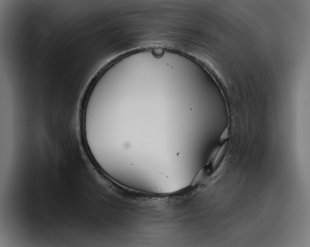 X0000096711038200802191504