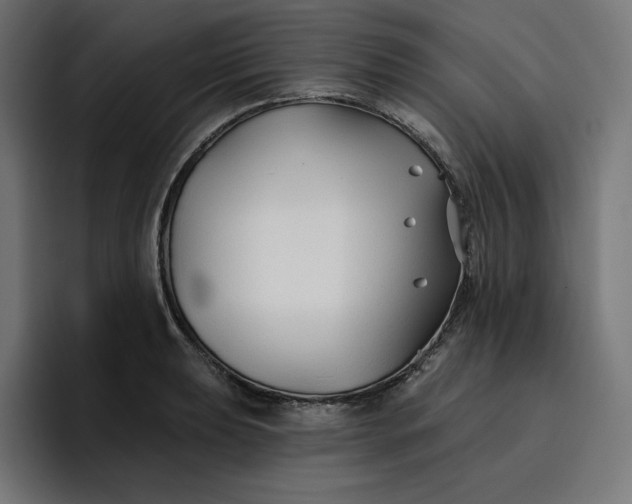 X0000096711039200802191504