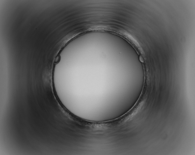 X0000096711041200802191504