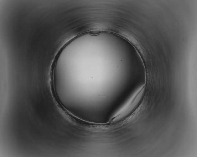 X0000096711042200802191504