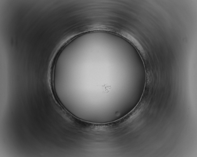 X0000096711043200802191504