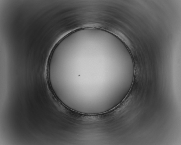 X0000096711044200802191504