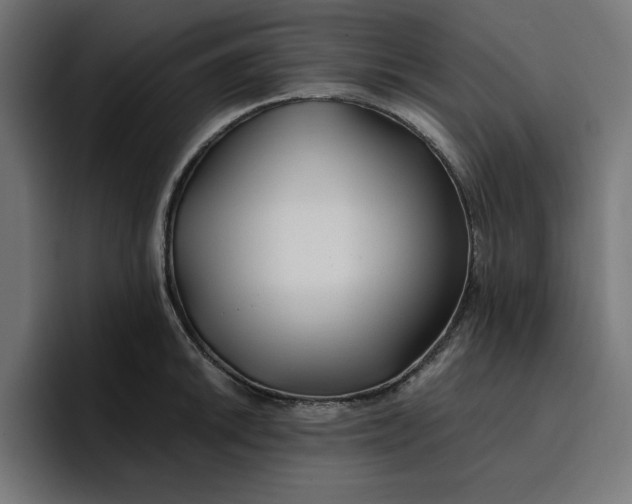 X0000096711046200802191504