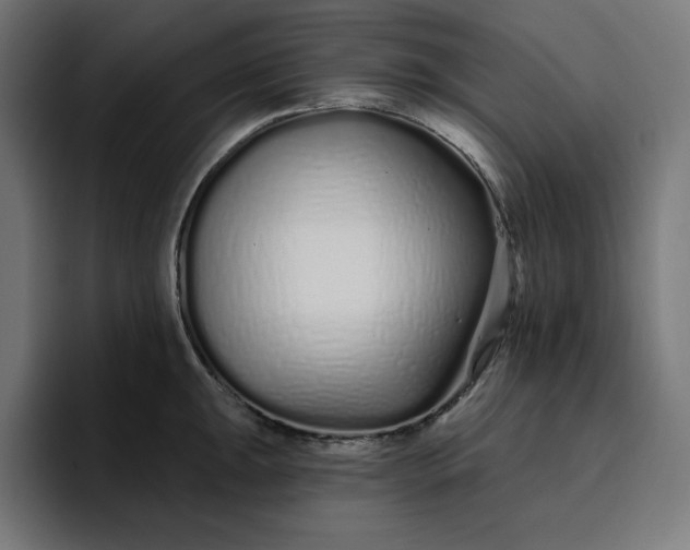 X0000096711047200802191504