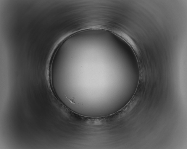 X0000096711051200802191504