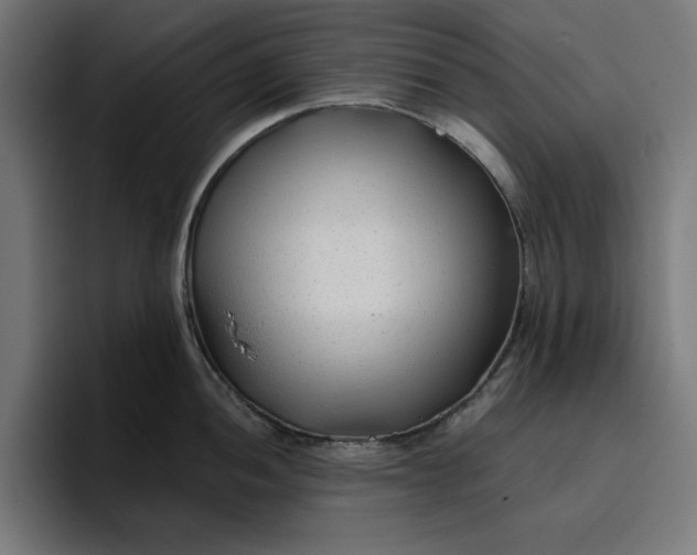 X0000096711052200802191504