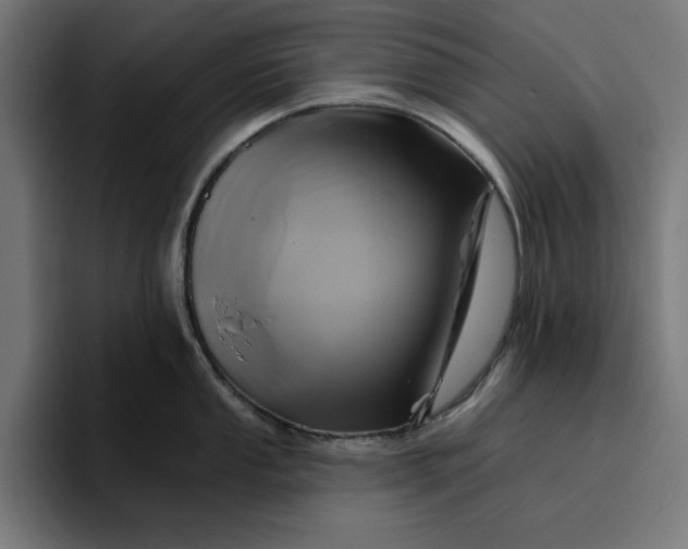 X0000096711053200802191504