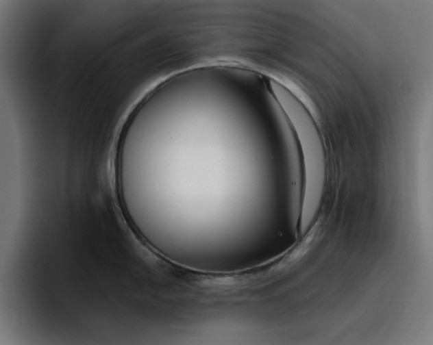 X0000096711054200802191504