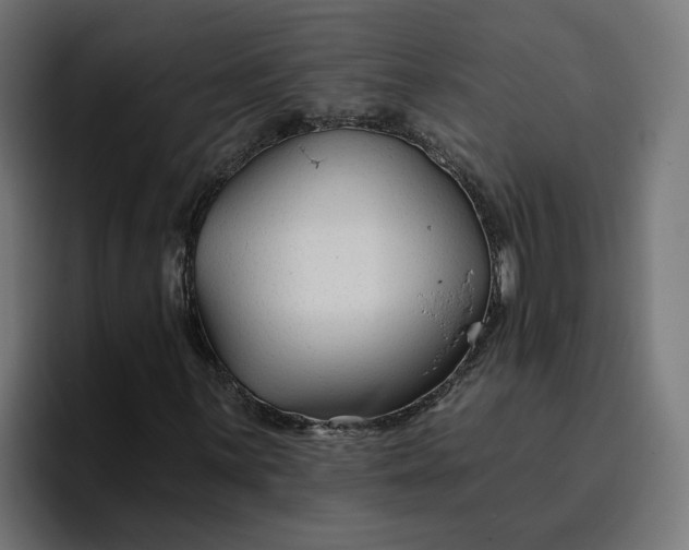 X0000096711059200802191504