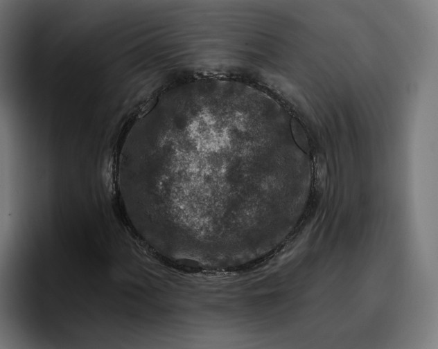 X0000096711060200802191504