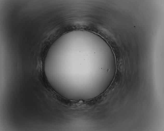 X0000096711061200802191504