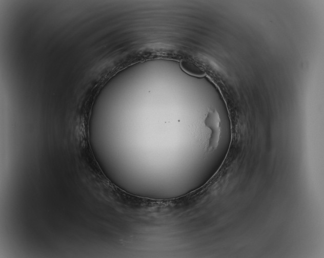 X0000096711062200802191504