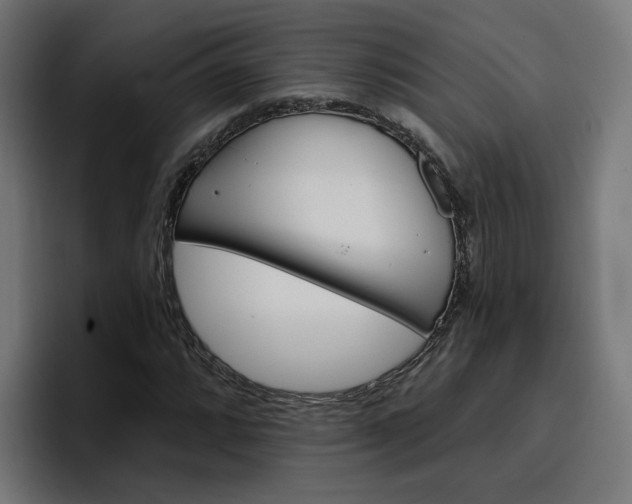 X0000096711064200802191504