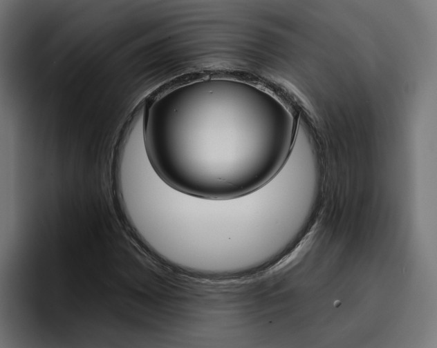 X0000096711065200802191504