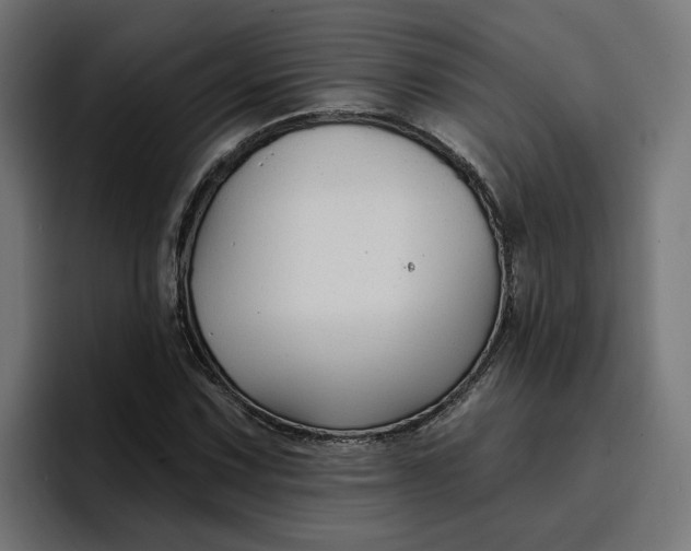 X0000096711067200802191504