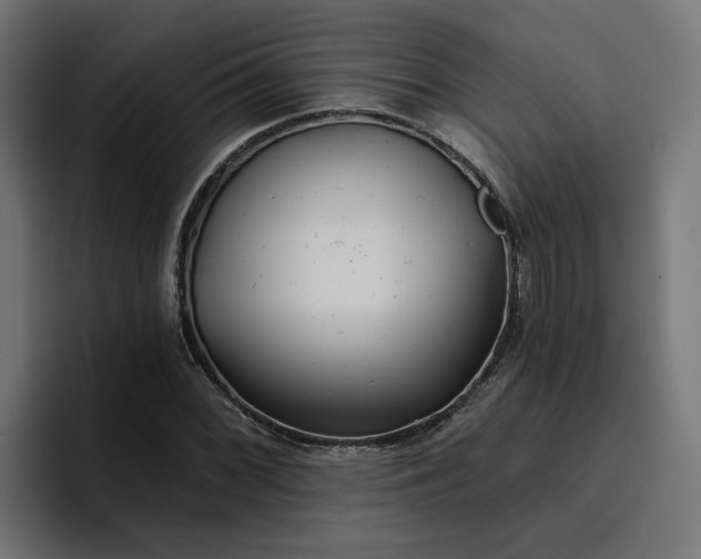 X0000096711068200802191504