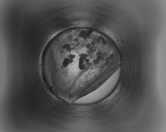 X0000096711071200802191503