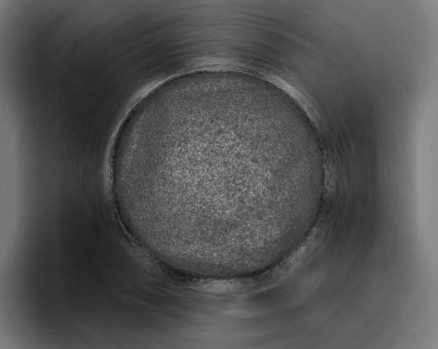 X0000096711074200802191503