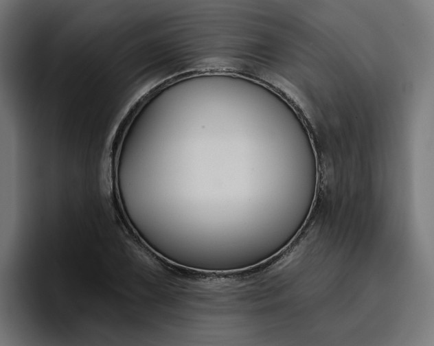 X0000096711075200802191503