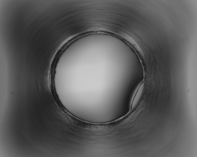 X0000096711076200802191503