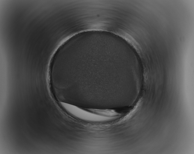 X0000096711077200802191503