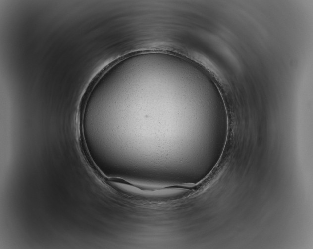 X0000096711079200802191503