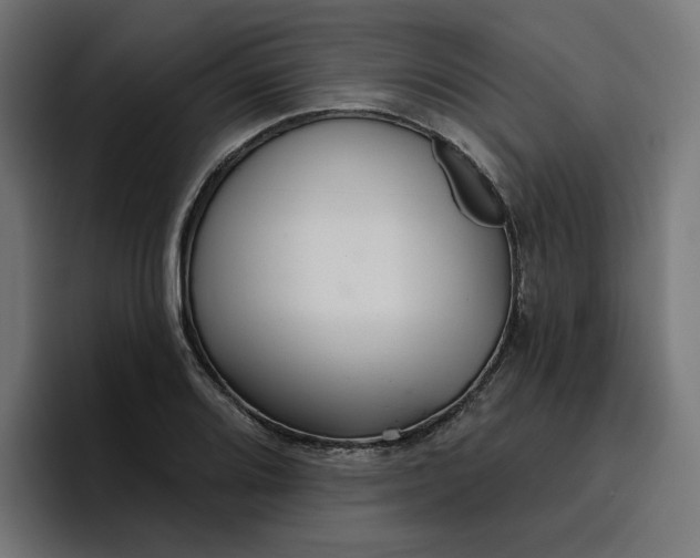 X0000096711080200802191503