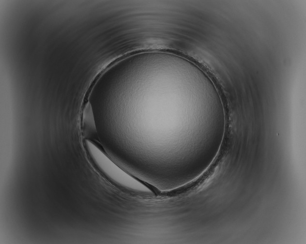 X0000096711081200802191503