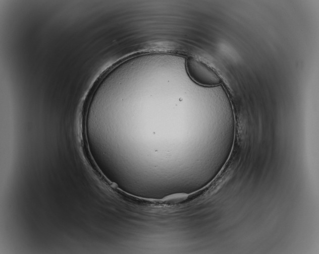 X0000096711083200802191503