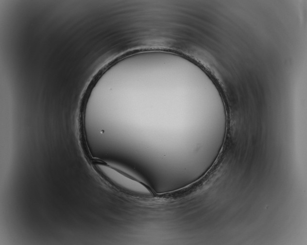 X0000096711085200802191503