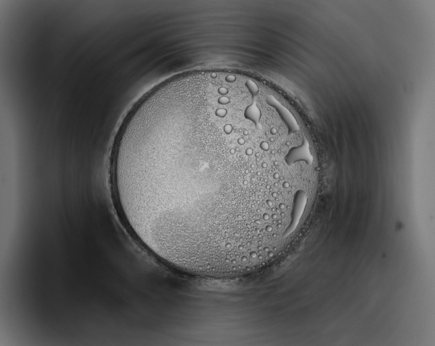 X0000096711086200802191503