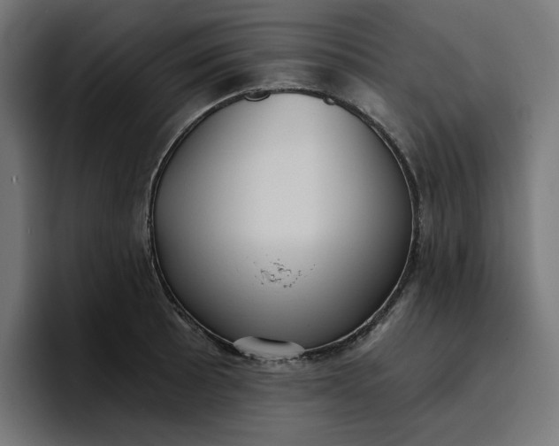 X0000096711089200802191503