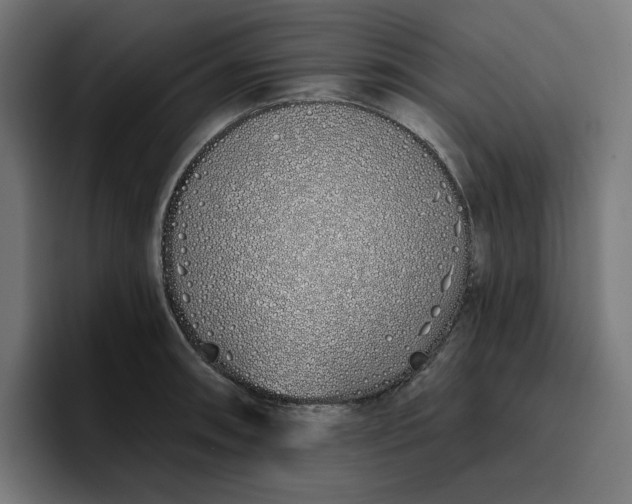 X0000096711090200802191503