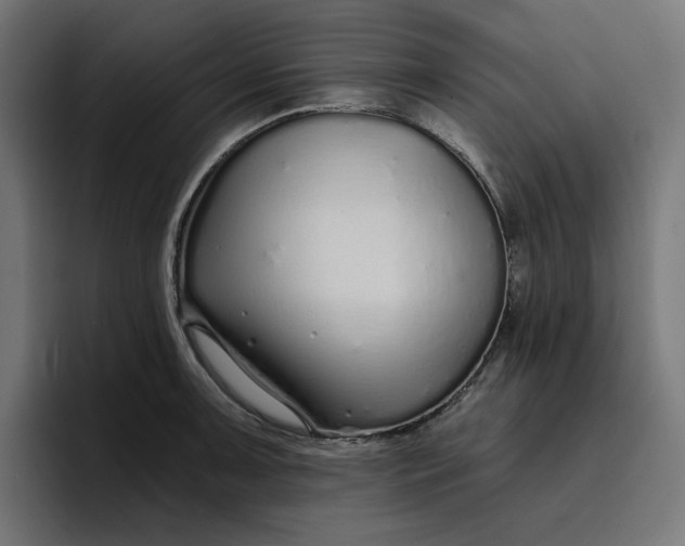 X0000096711091200802191503