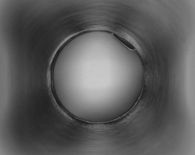 X0000096711092200802191503