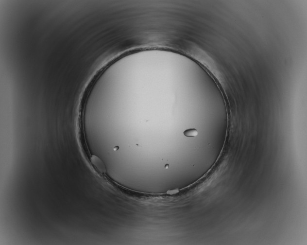 X0000096711093200802191503