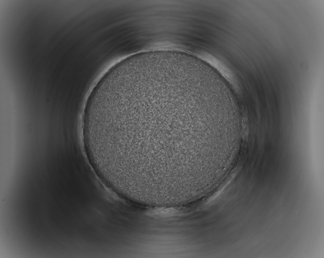 X0000096711094200802191503