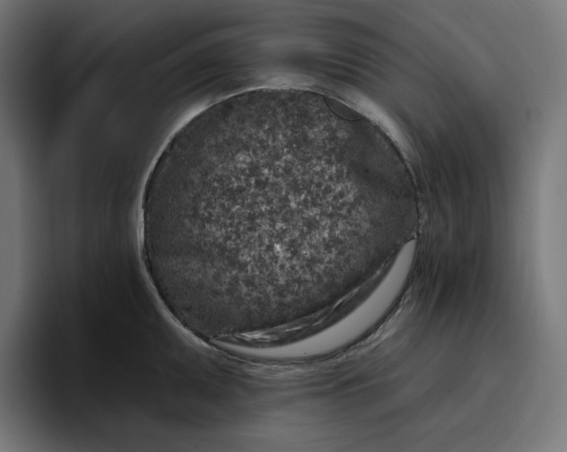 X0000096711095200802191503