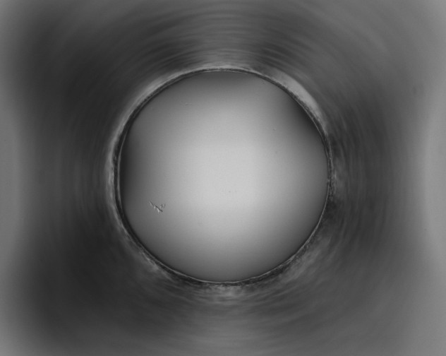 X0000096711096200802191503